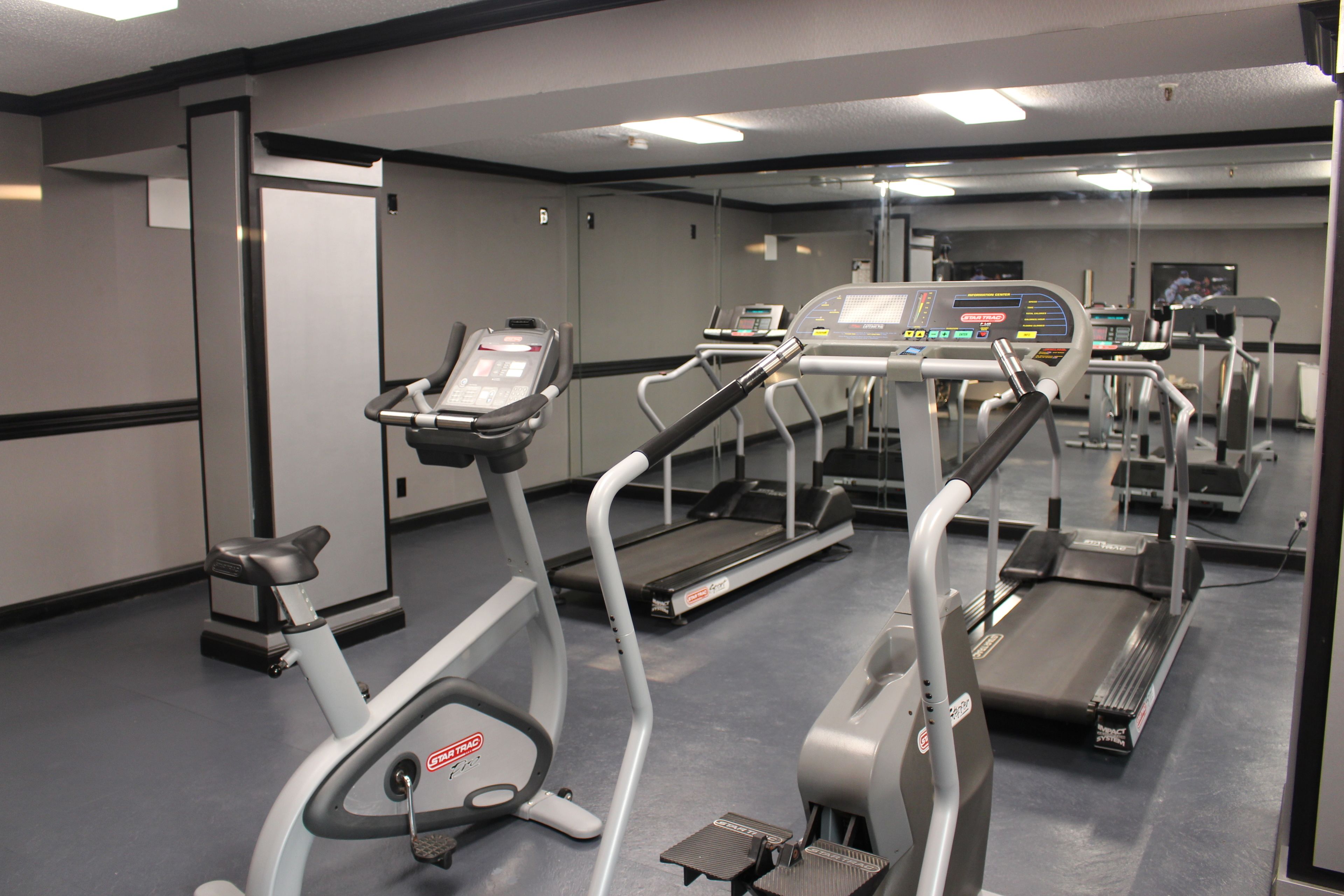 A gym with multiple treadmills and elliptical machines.