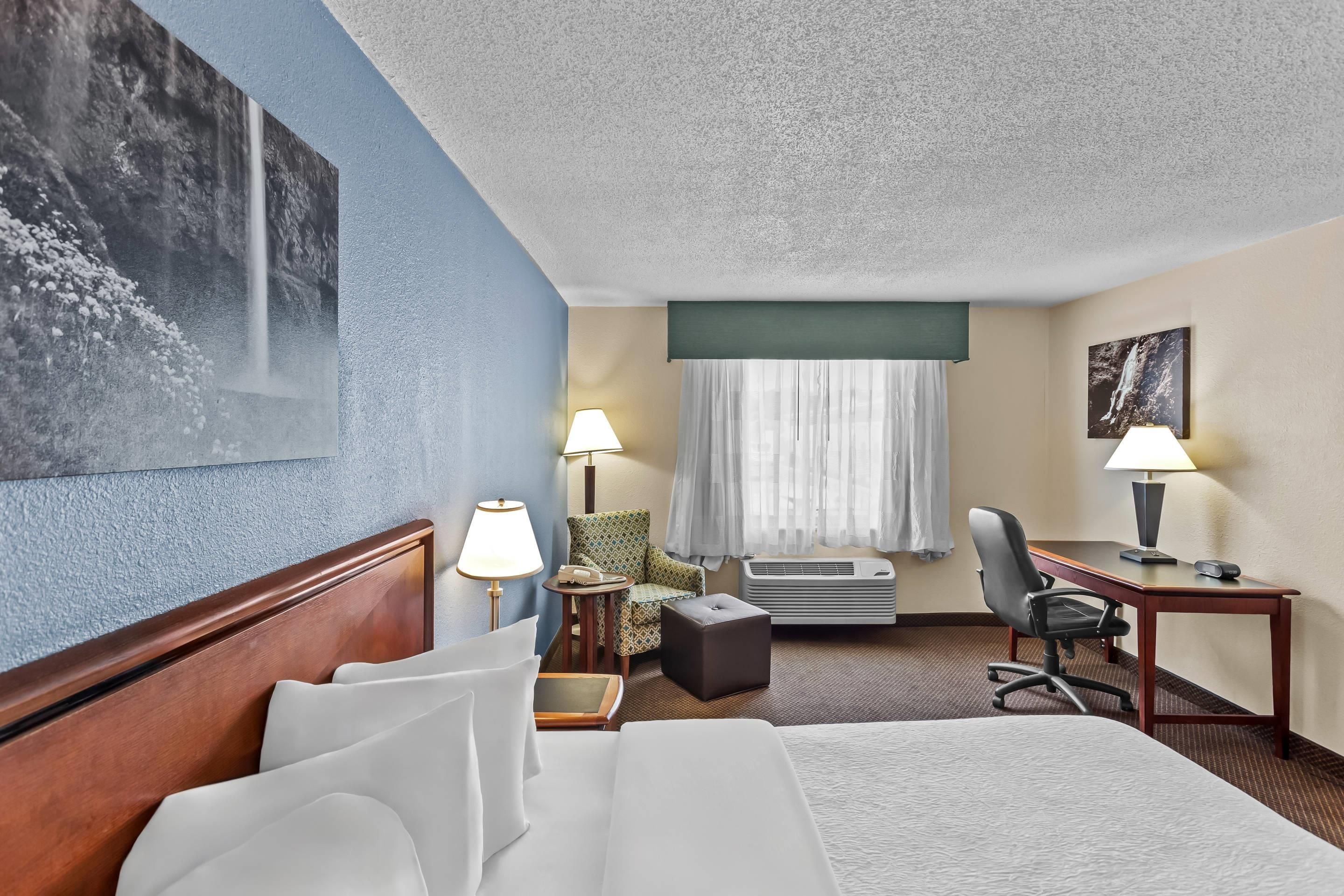 Habitación de hotel con cama, dos sillas, escritorio, lámpara, ventana con cortinas y un cuadro colgado en la pared.