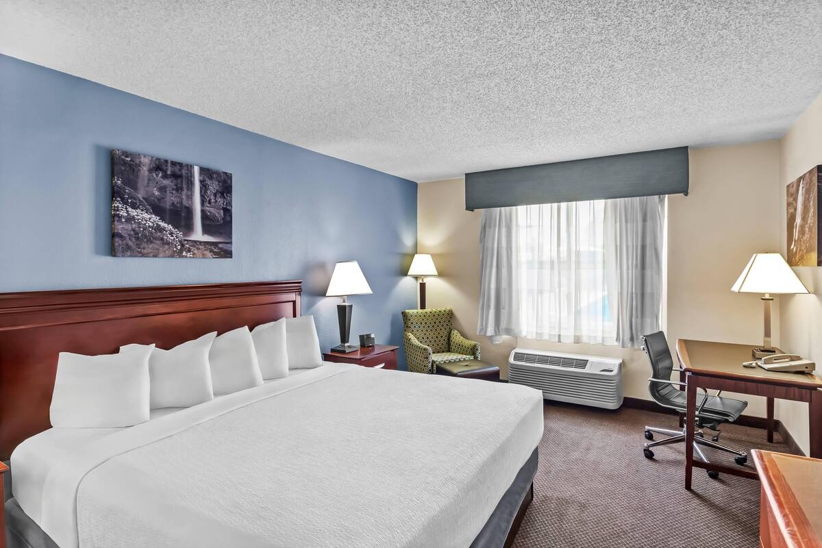 Room, 1 King Bed, Accessible, Non Smoking (Roll-In Shower) | In-room safe, desk, iron/ironing board, cribs (free)