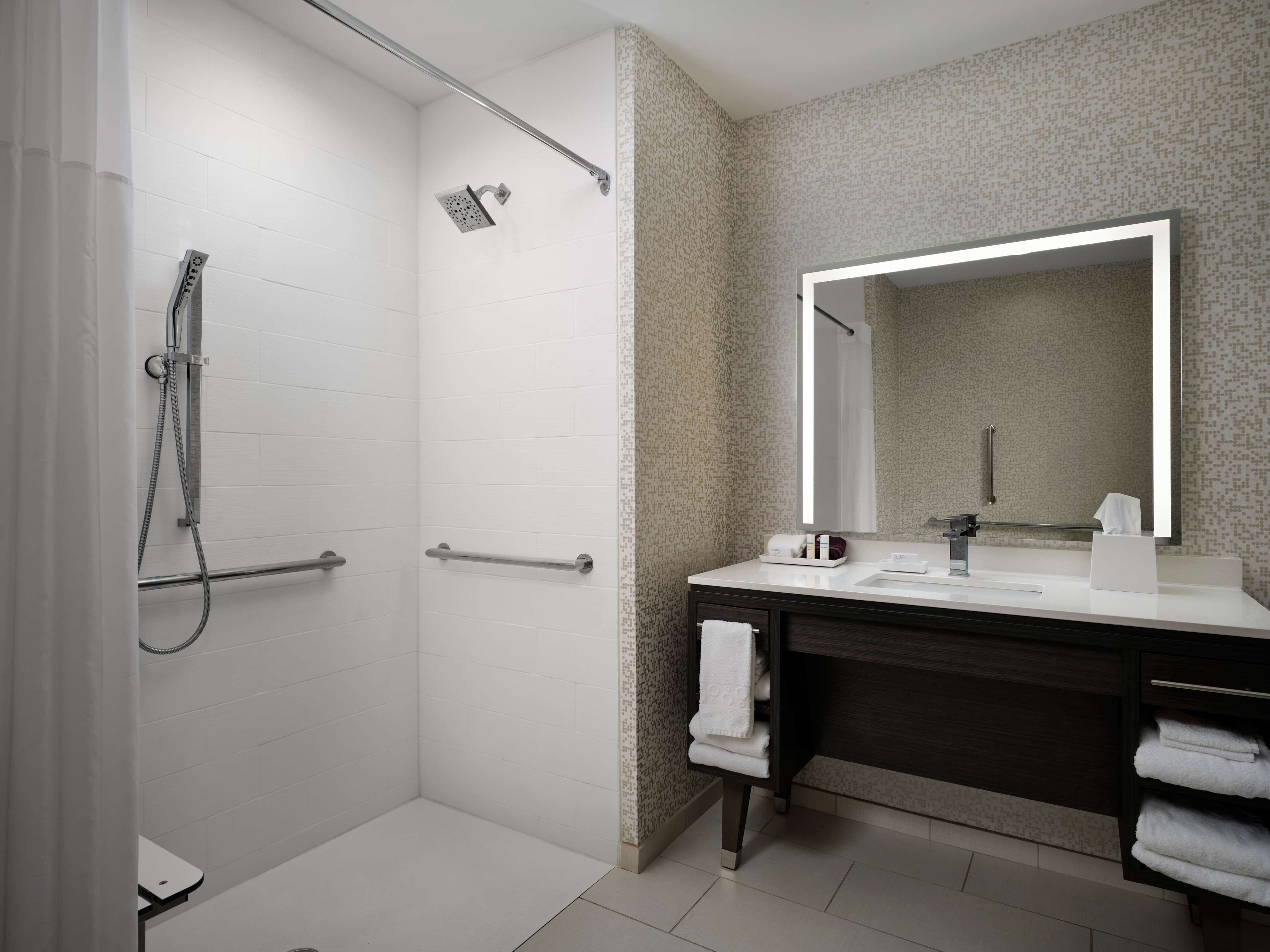 room, 1 king bed, accessible, non smoking | bathroom shower