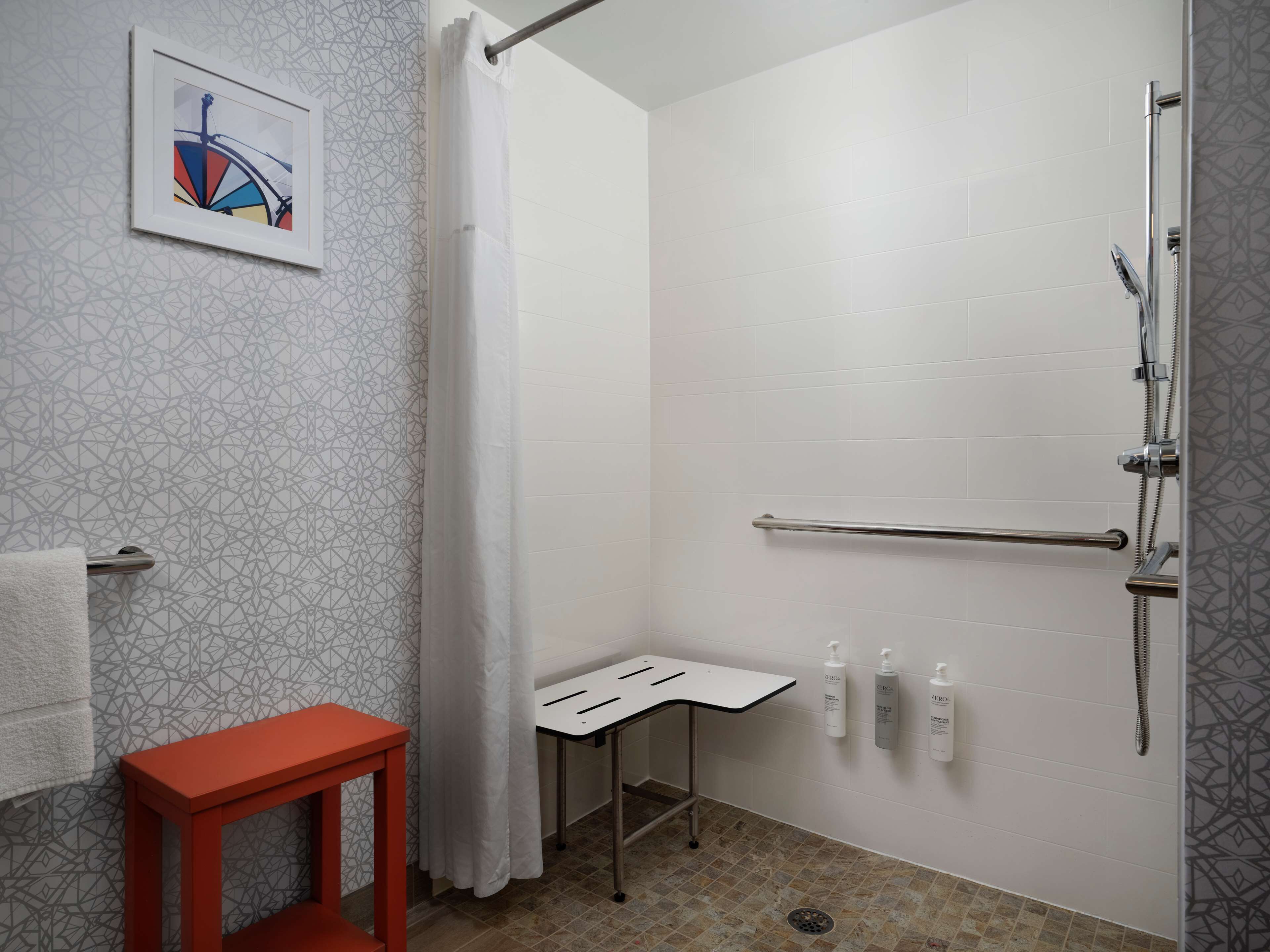 room, 1 king bed, accessible, non smoking | bathroom shower