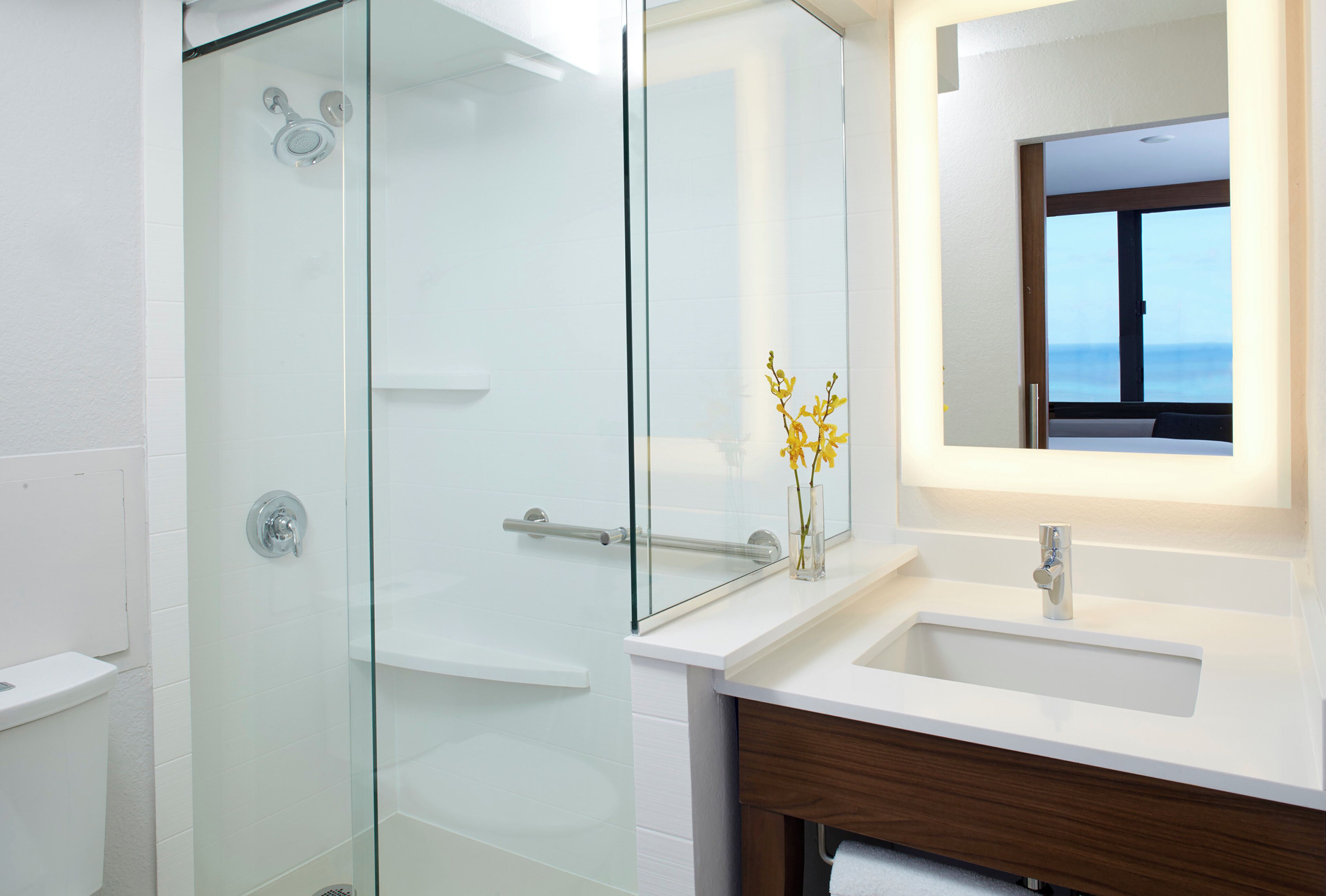 A modern bathroom with a glass shower enclosure, a white sink, and a mirror reflecting a window with a view.