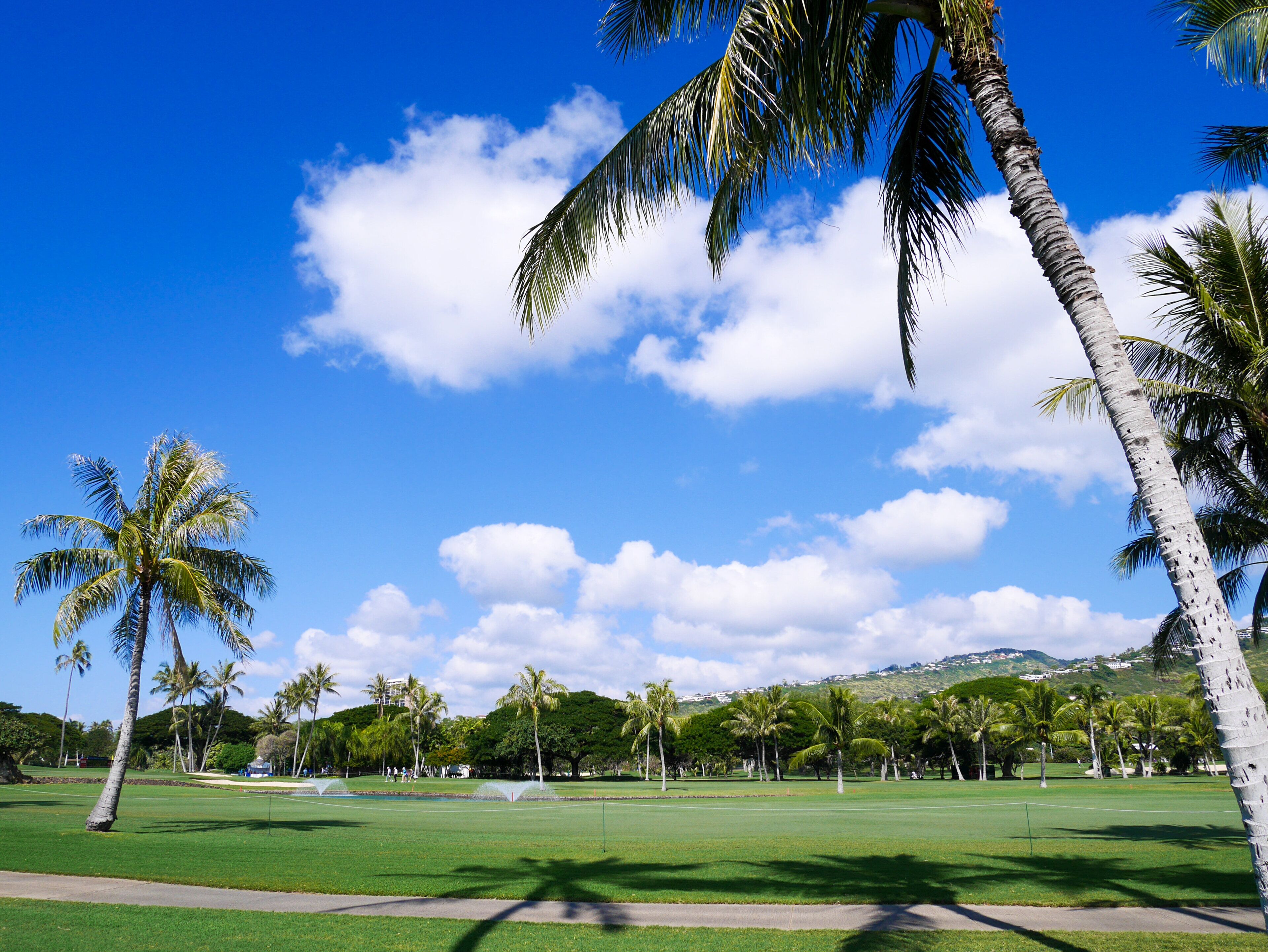 Campo de golfe com palmeiras e um céu azul límpido.