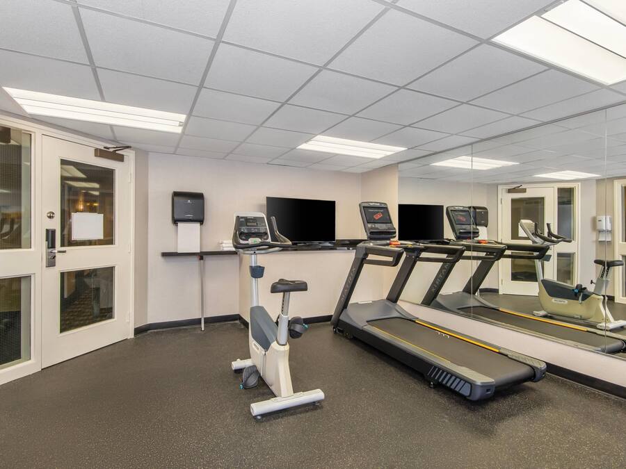 Un gimnasio con cintas de correr, elípticas y bicicletas estáticas.