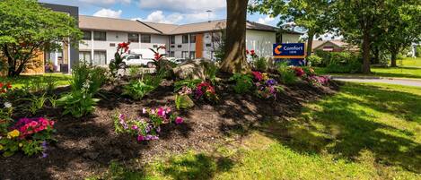 A Comfort Inn hotel with a landscaped garden, a parking lot, and a clear blue sky.