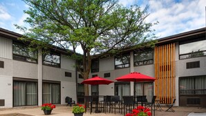 A courtyard with outdoor seating, potted plants, and a large tree. - Comfort Inn Kanata Ottawa West (Ottawa)