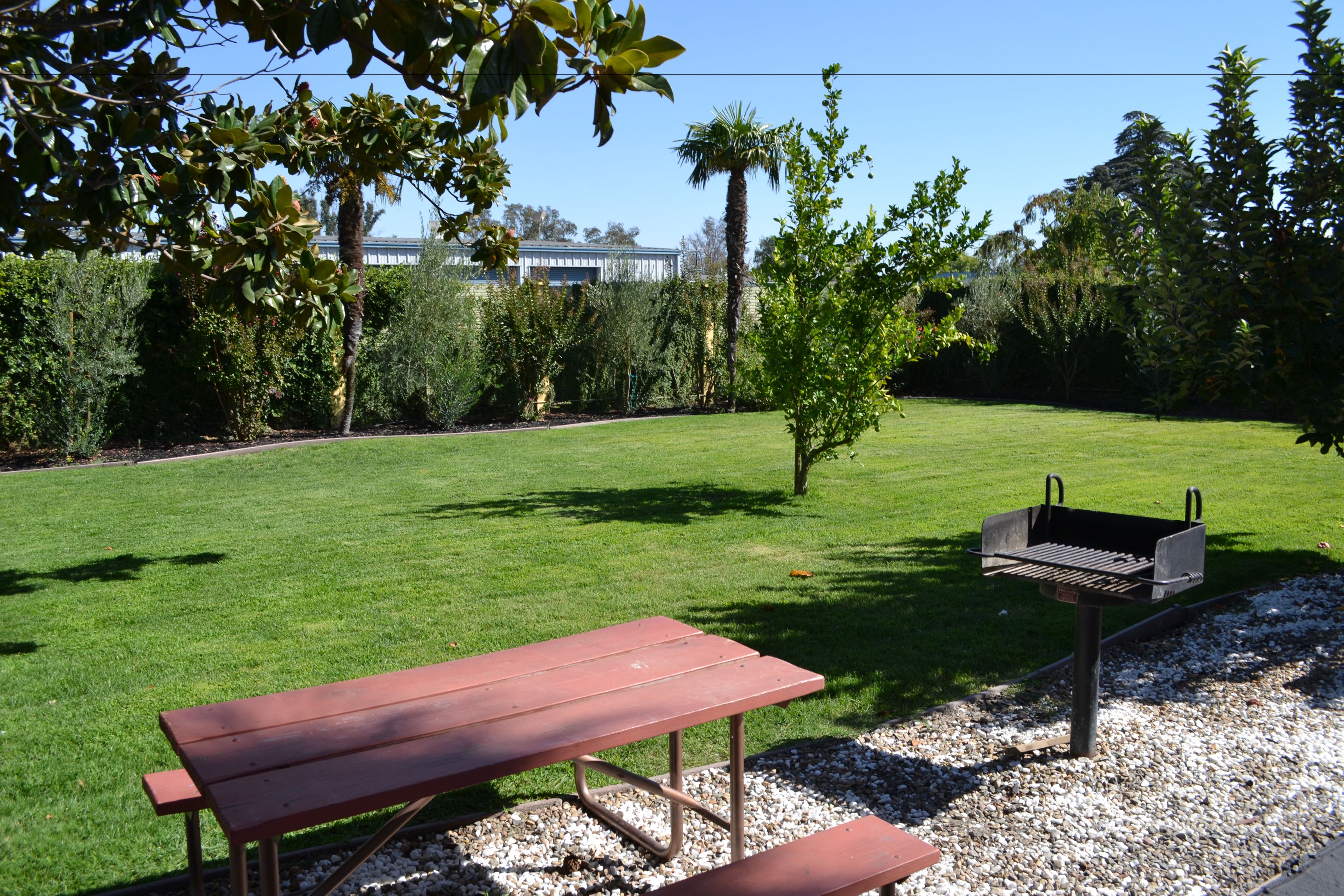 Una mesa de picnic y una parrilla en un jardín bien cuidado, con césped y varios árboles.