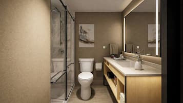 Eco-friendly toiletries, hair dryer, towels