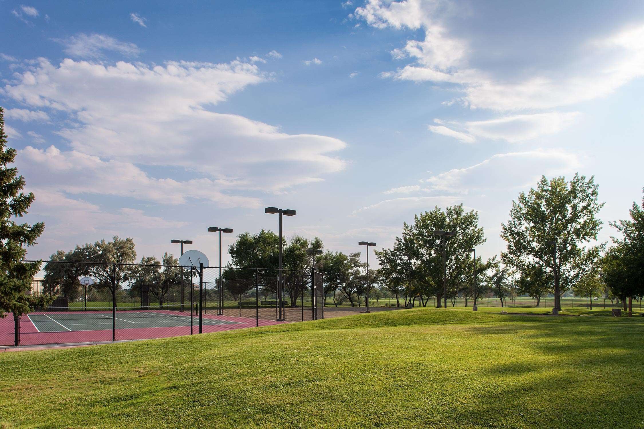 Una cancha de tenis al aire libre con césped verde y árboles al fondo.
