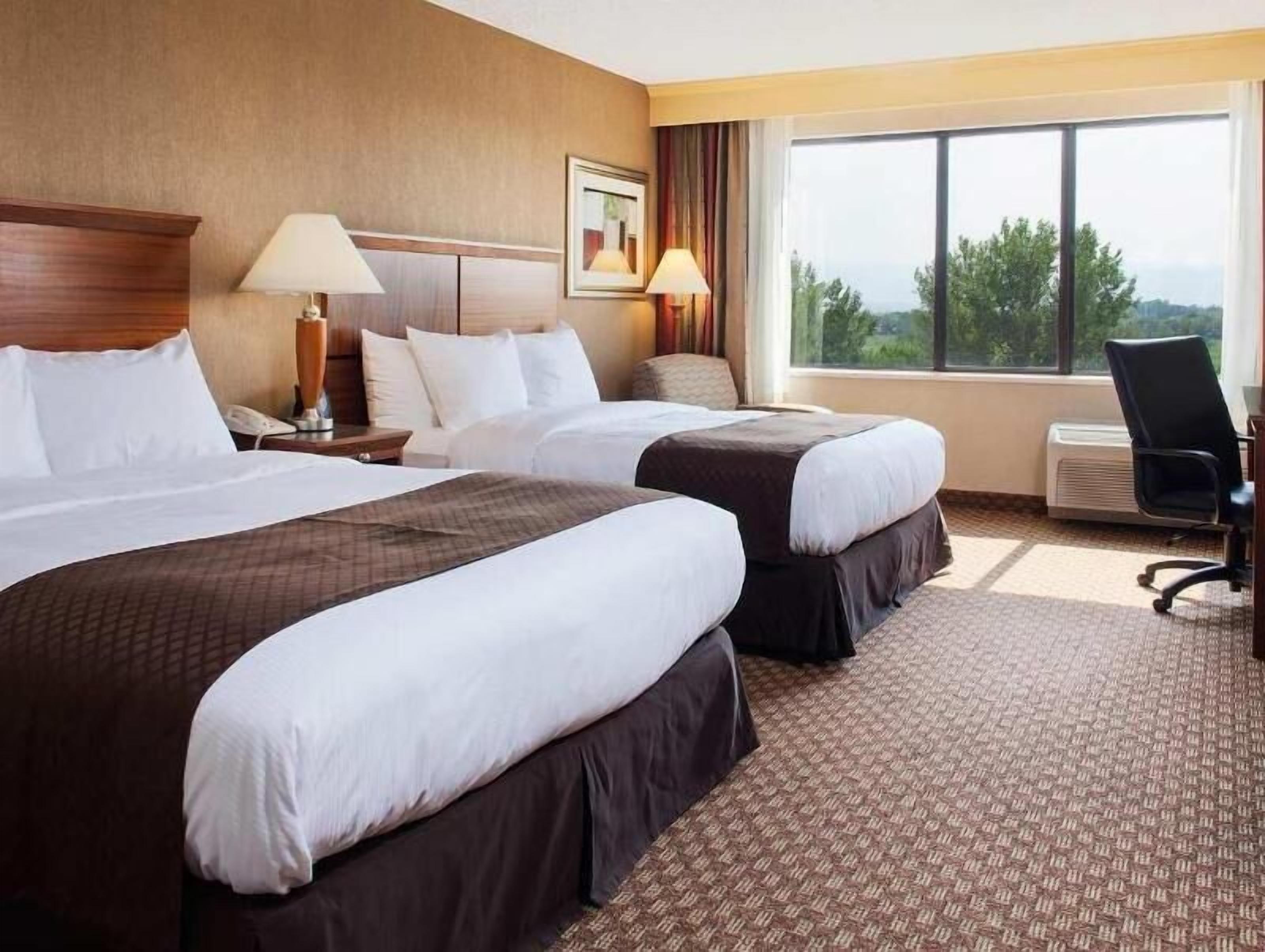 防过敏的被褥、羽绒被、加厚床垫、客房内保险箱