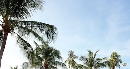 Shangri-La Golden Sands, Penang