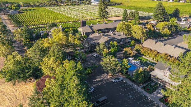 Vista aérea de una zona residencial con casas, piscina y viñedos.