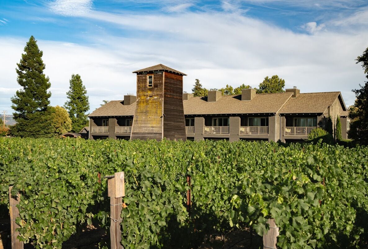 A vineyard with rows of grapevines and a building with a tower and multiple windows.