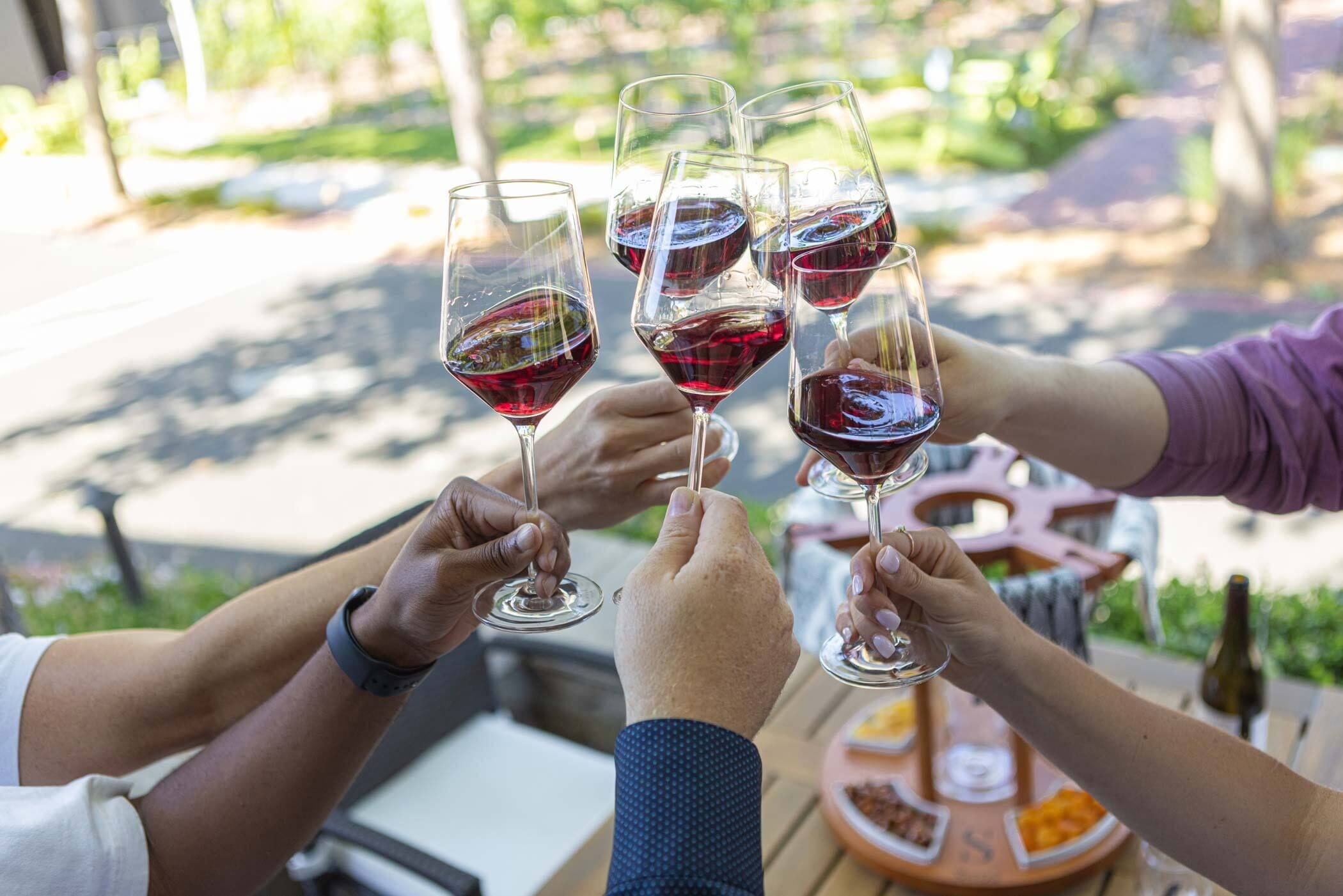 A group of people toasting with wine glasses at an outdoor table with a view of greenery.