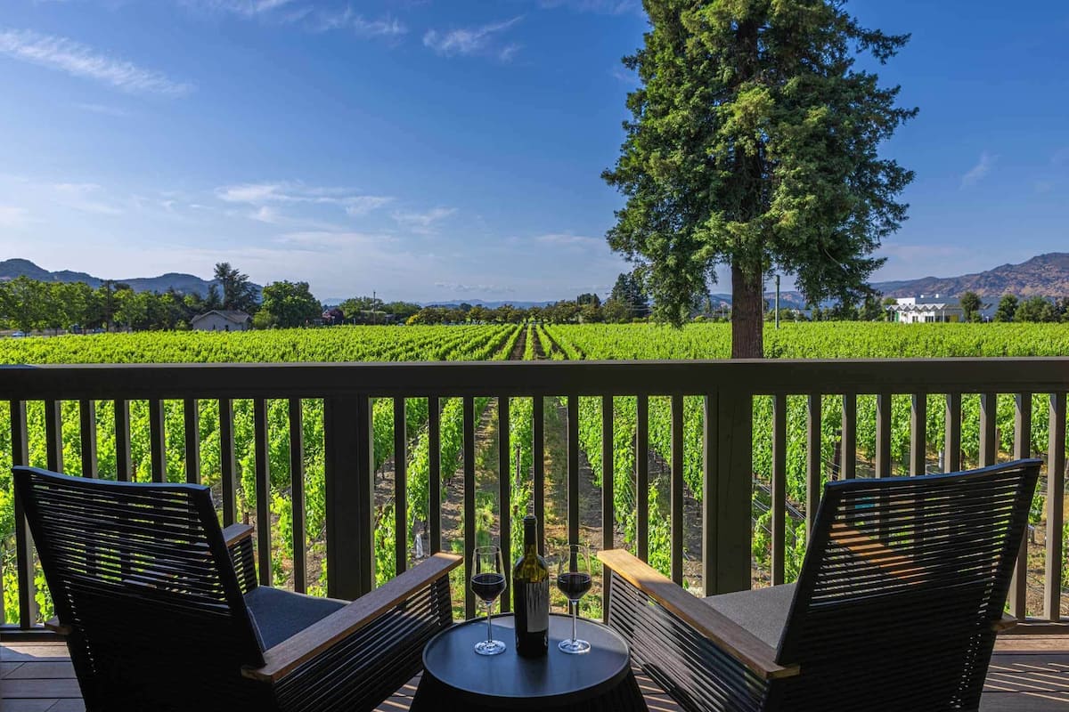 Vineyard view