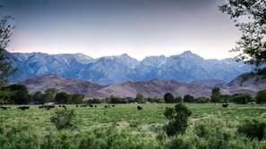 Blick von der Unterkunft