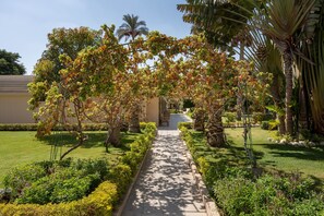A pathway leading through a garden with palm trees and a building in the background. - JAZ Pyramids Resort (Giza)