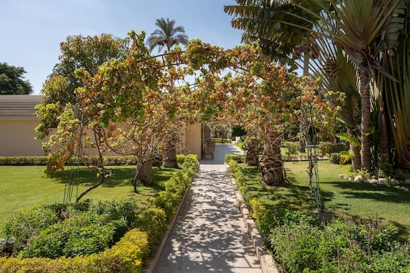 A pathway leading through a garden with palm trees and a building in the background.