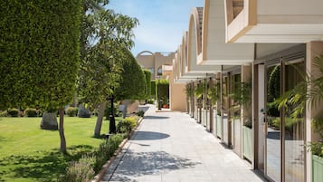 A pathway flanked by neatly trimmed hedges and trees, leading to a building with a modern architectural style.