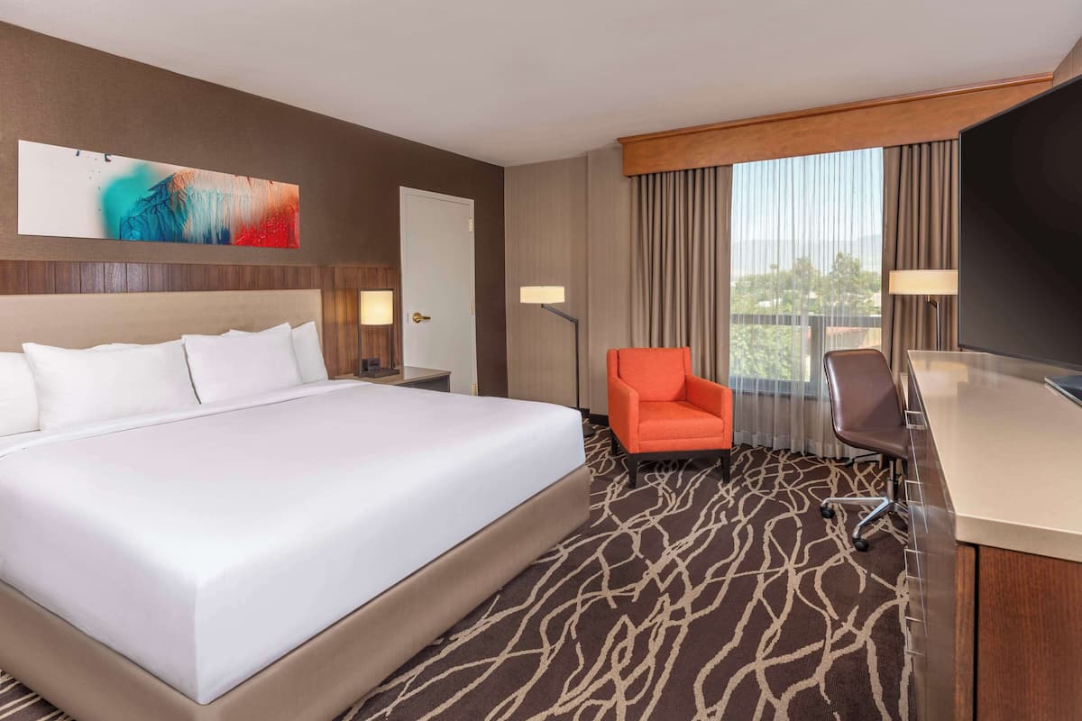 Basic Room, 1 Katil Raja (King), Accessible (Roll In Shower) | Ruang tamu | 50 inci televisyen LED dengan kabel