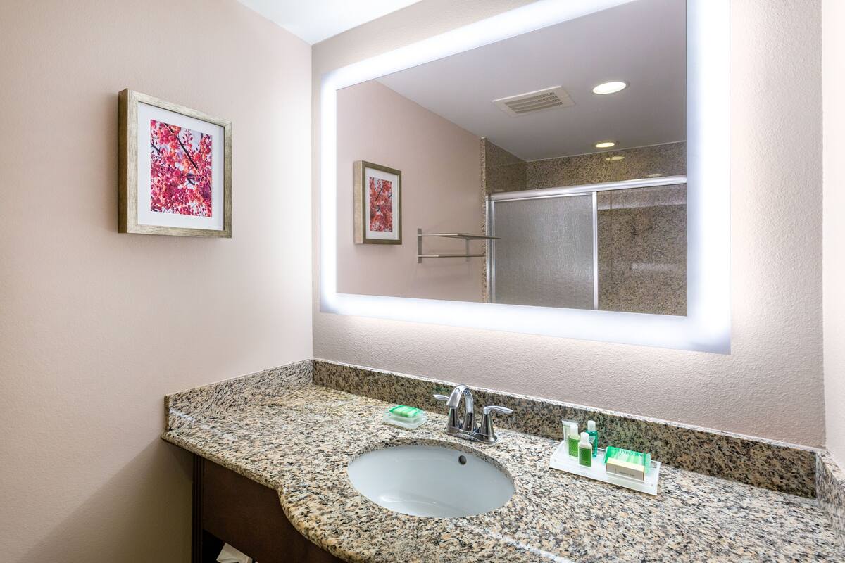 standard room, 1 king bed | bathroom | eco-friendly toiletries, hair dryer, towels, soap