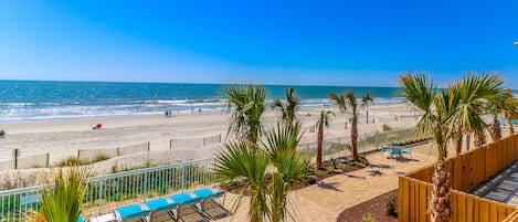 A beach view with a wooden fence, palm trees, and a paved walkway with benches.