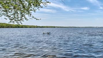 Um lago tranquilo com céu claro e árvores na margem.