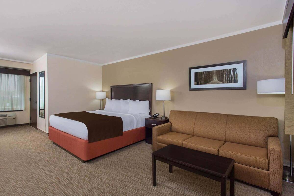 Ein Hotelzimmer mit Bett, Sofa, Nachttisch, Lampe und einem gerahmten Bild an der Wand.