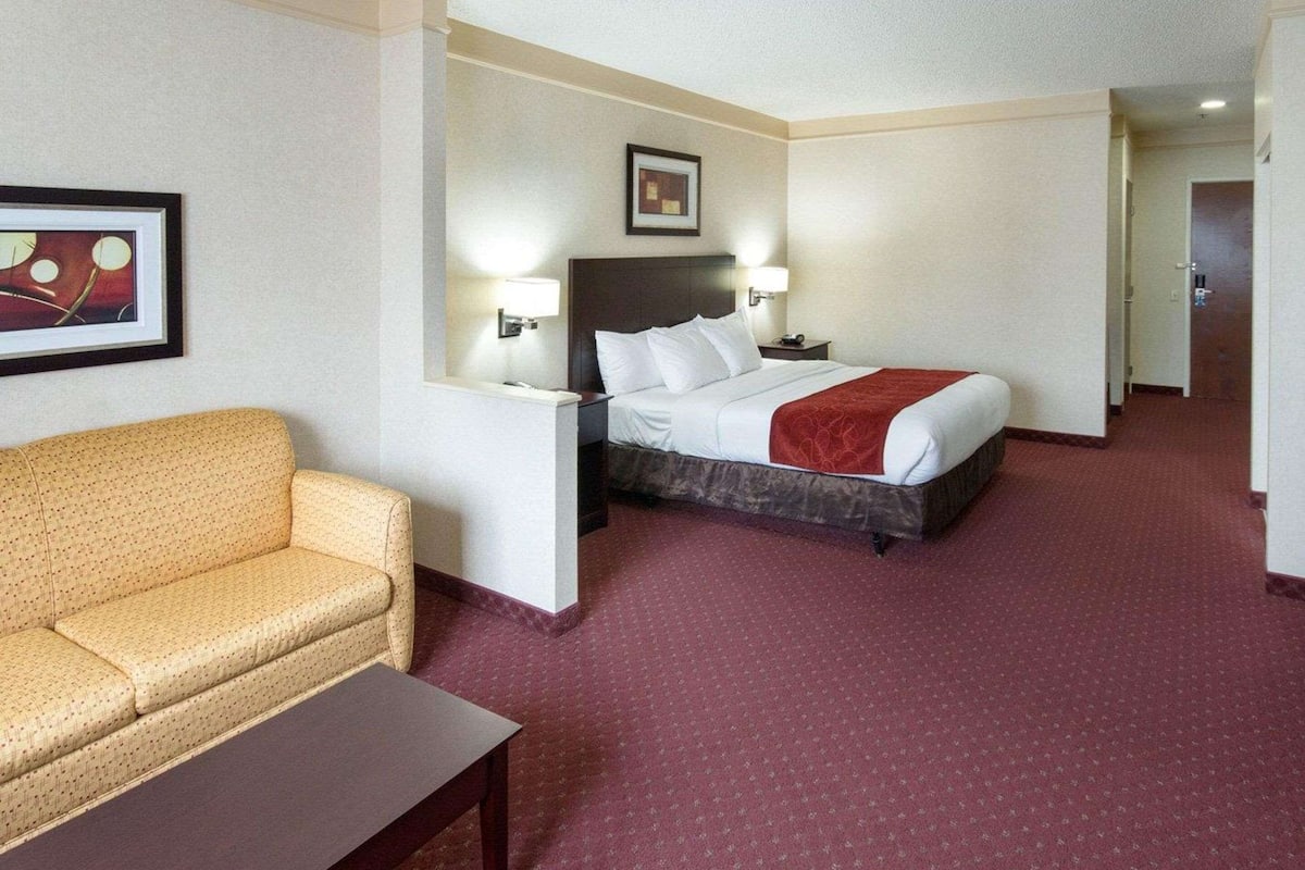 A hotel room with a bed, a sofa, a nightstand, and a framed picture on the wall.