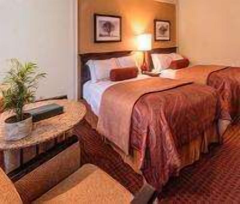 A hotel room with two beds, a small round table with a plant, and a nightstand with a lamp.