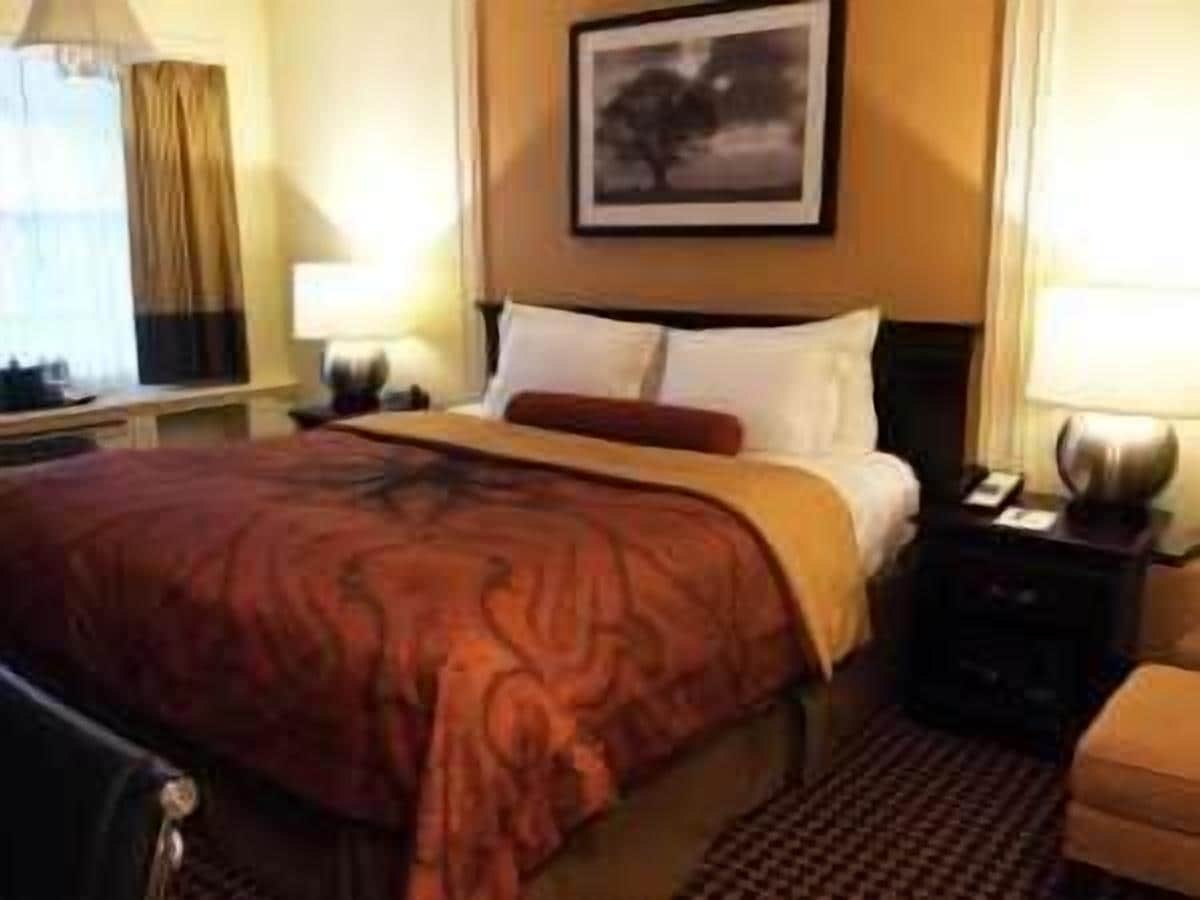 Una habitación de hotel con cama, mesitas de noche, lámpara y un cuadro en la pared.