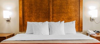 Comfort Inn Marshalltown South