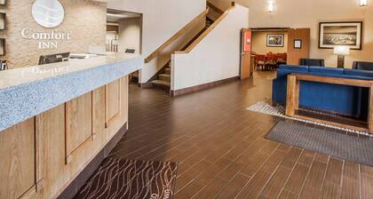 Comfort Inn Marshalltown South