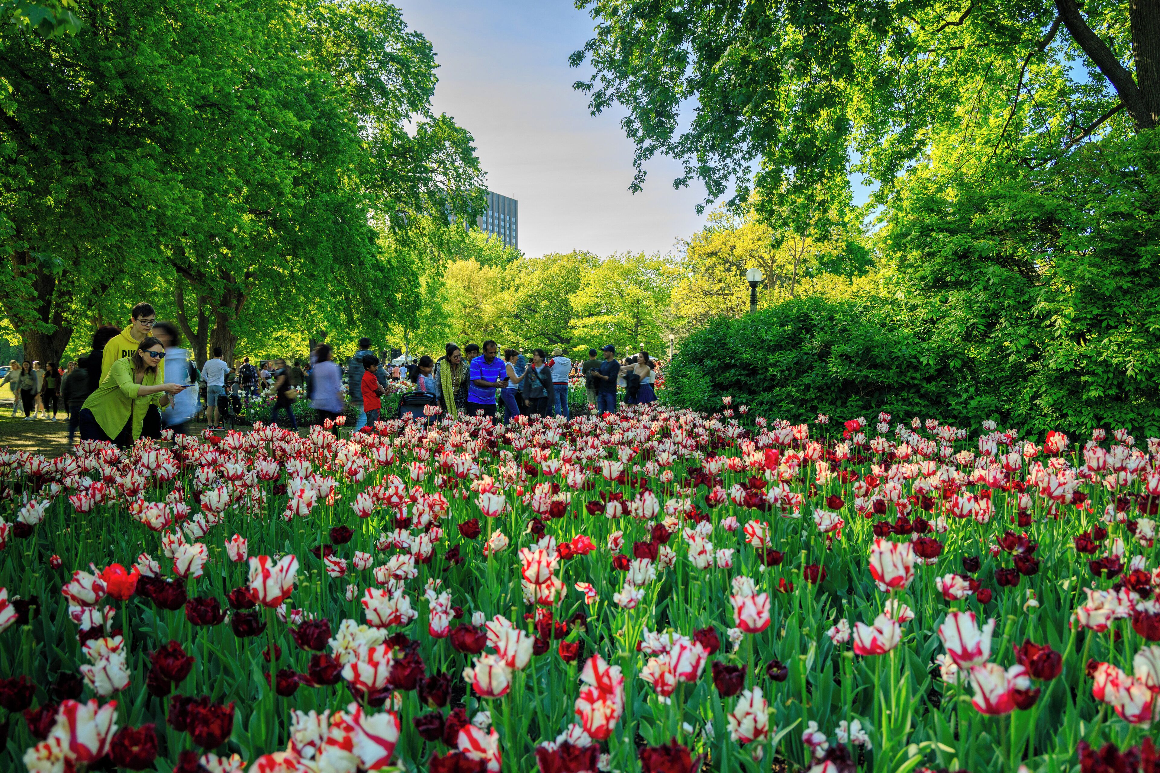 Foto - Holiday Inn Ottawa East by IHG