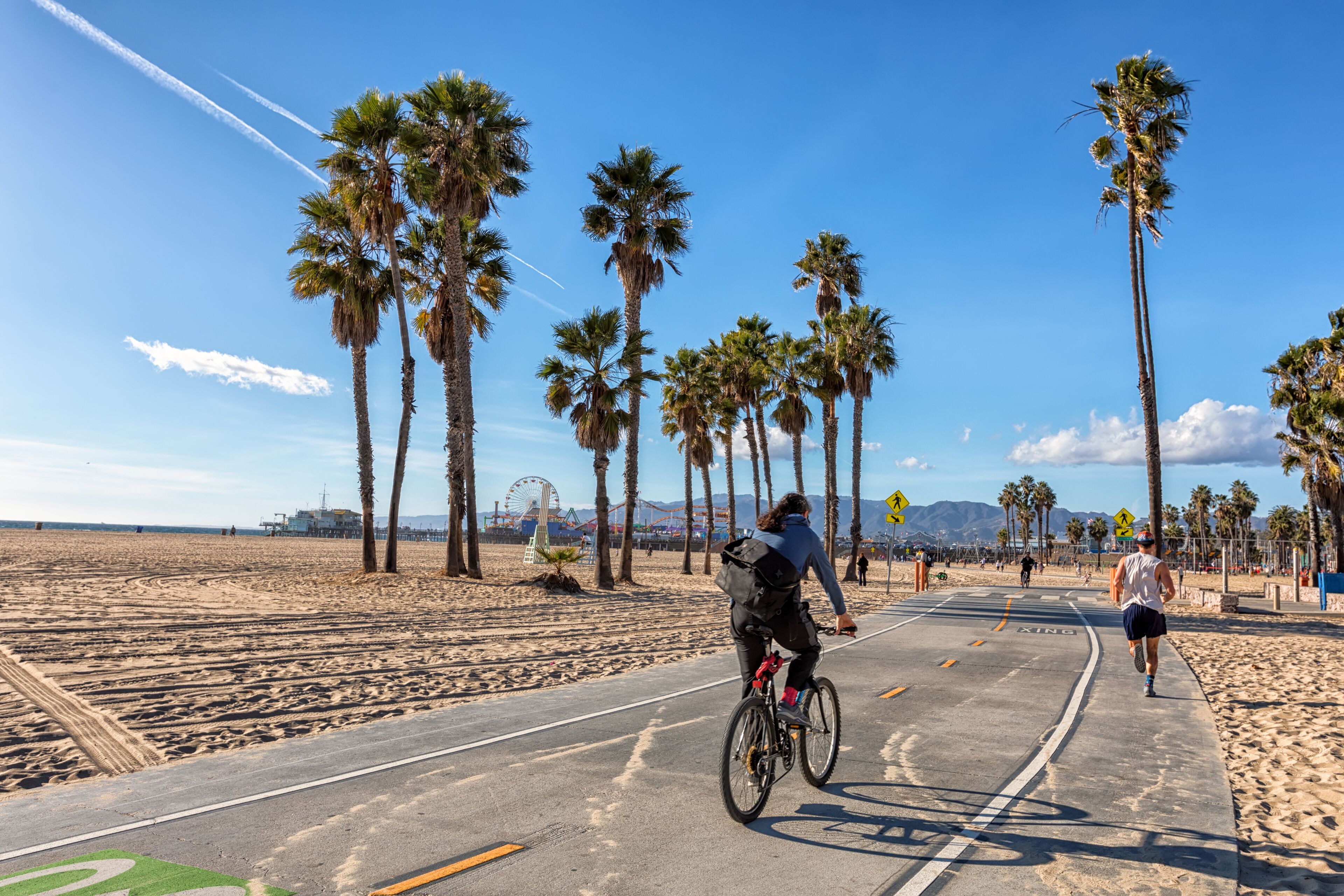 A paved path with palm trees and a clear sky.
