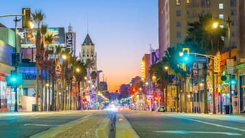 A city street at dusk with illuminated buildings and palm trees.