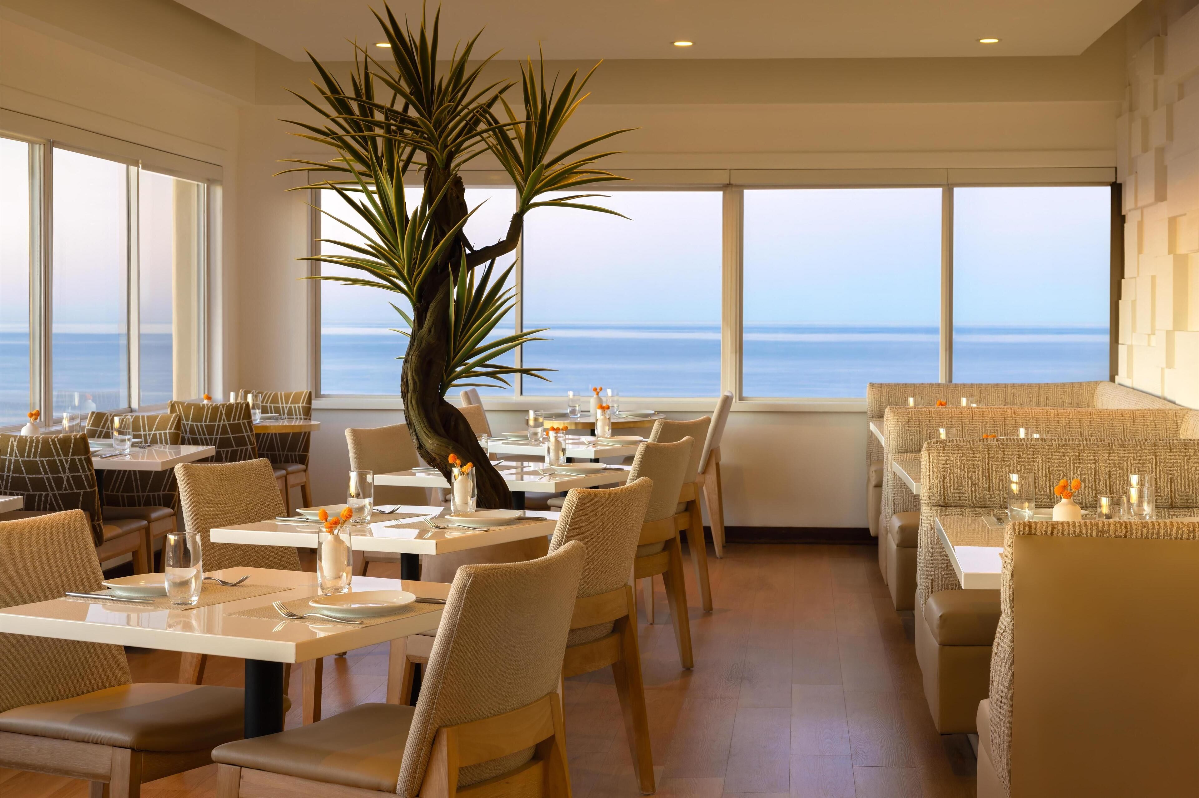 A restaurant with tables and chairs arranged for dining, a large potted plant, and a view of the ocean through large windows.