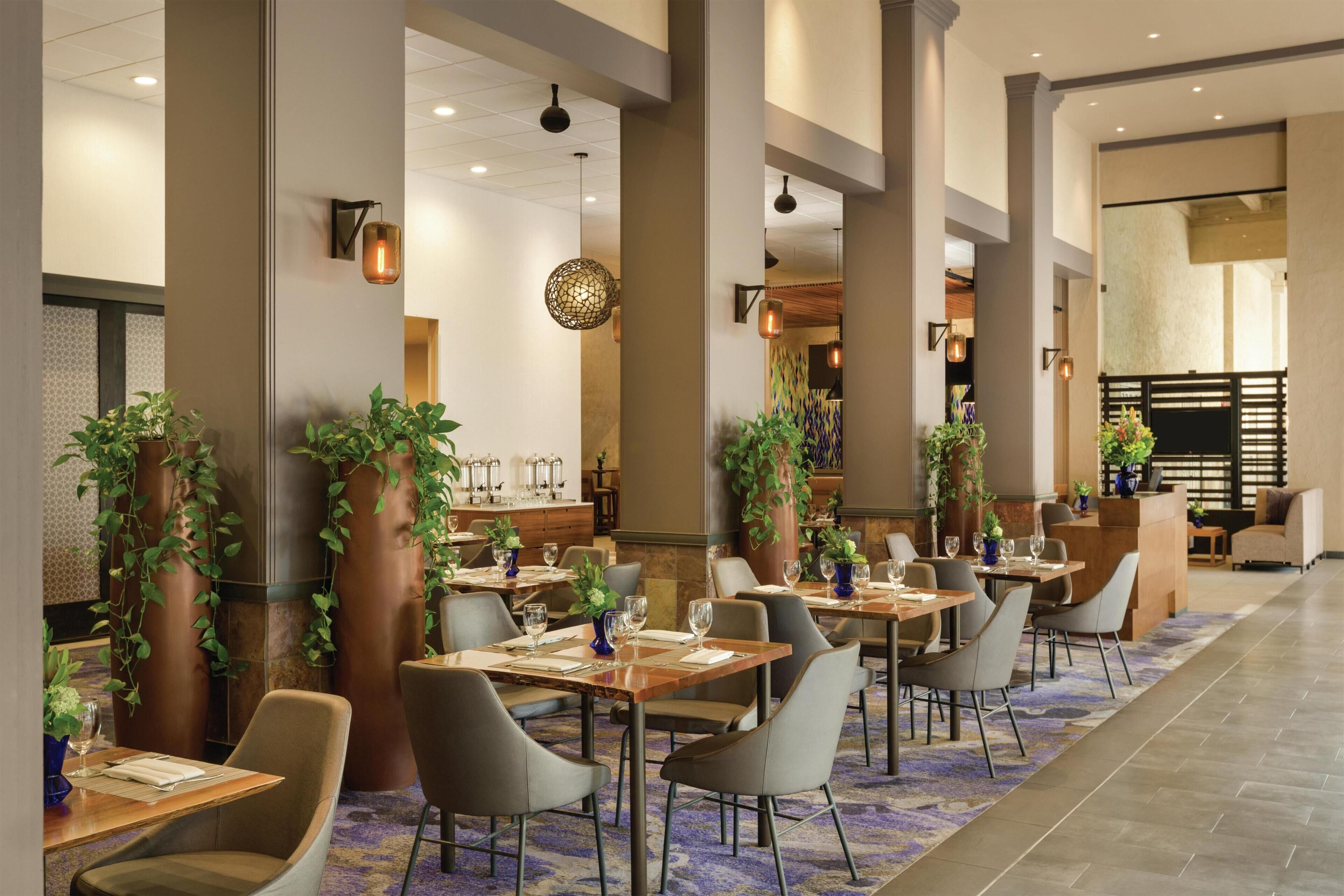 A modern restaurant with high tables, chairs, and potted plants.