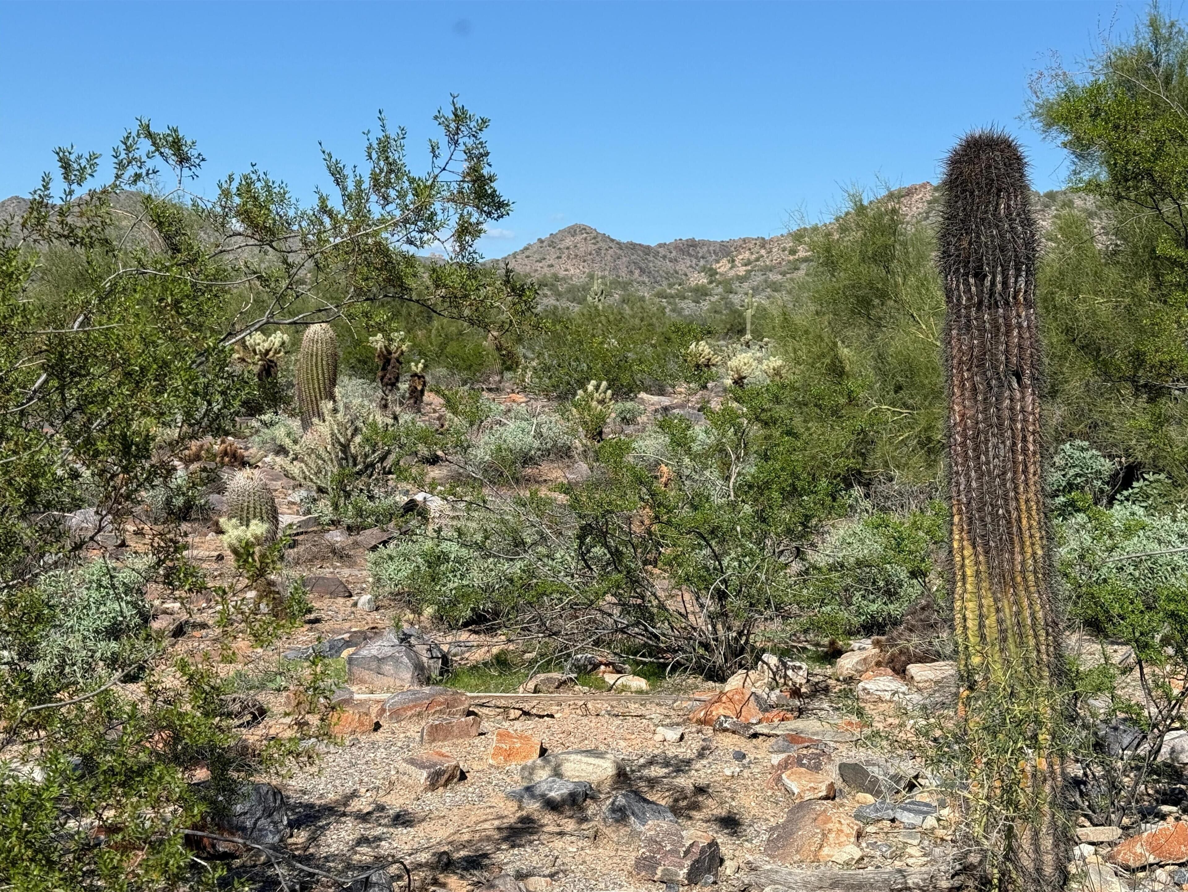 Foto - Hilton Scottsdale Resort & Villas