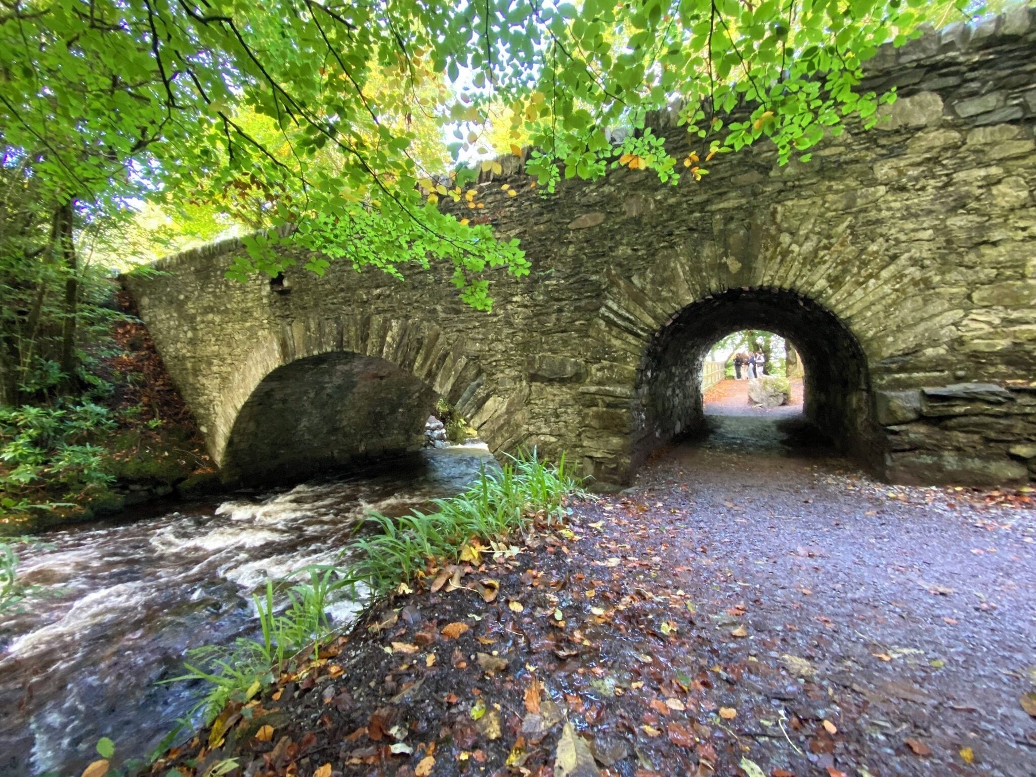 Foto - International Hotel Killarney