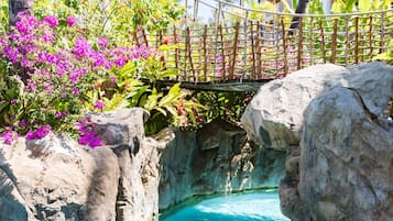 A tropical resort with a clear pool, lush greenery, and a wooden bridge.