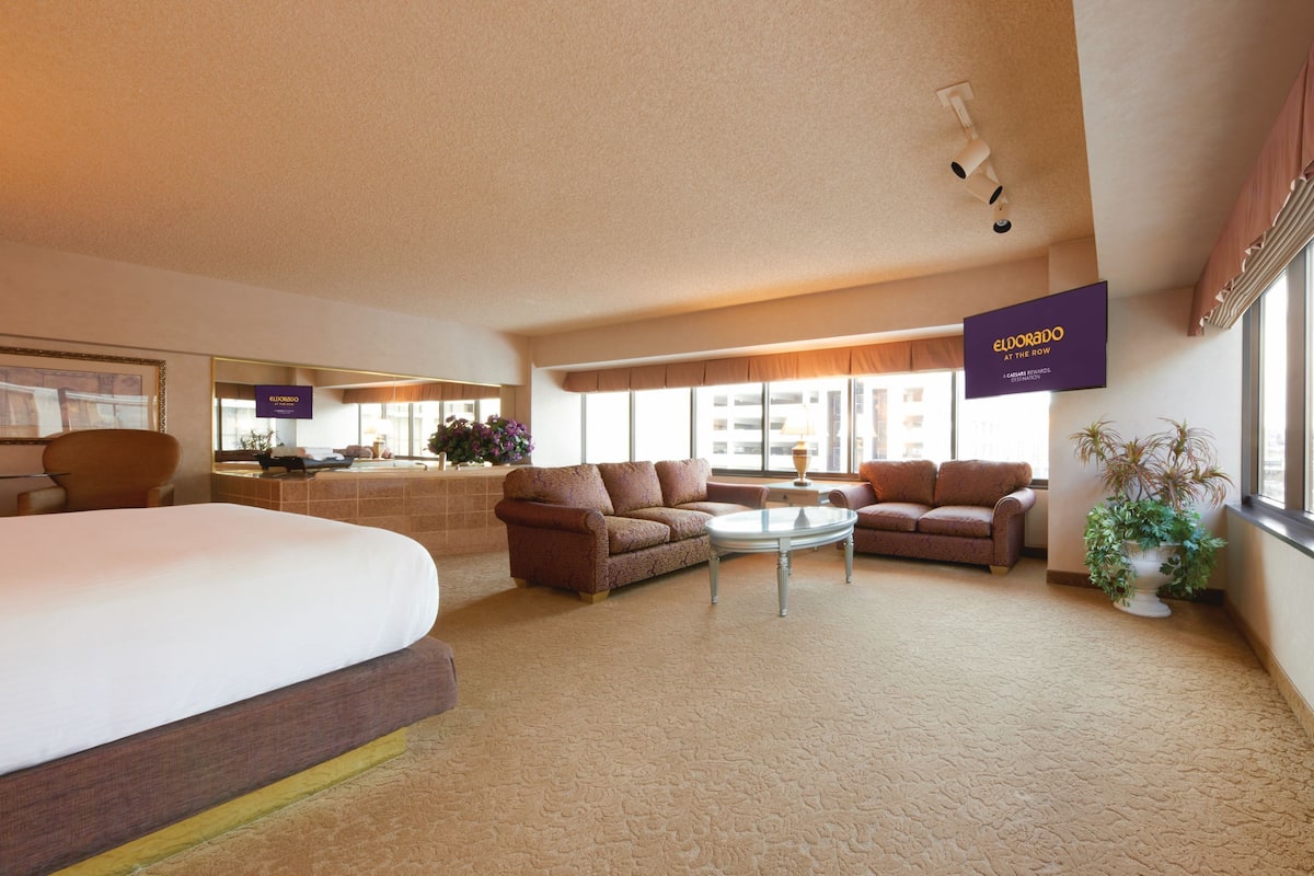 A hotel room with a large bed, two sofas, a small table, and a potted plant.