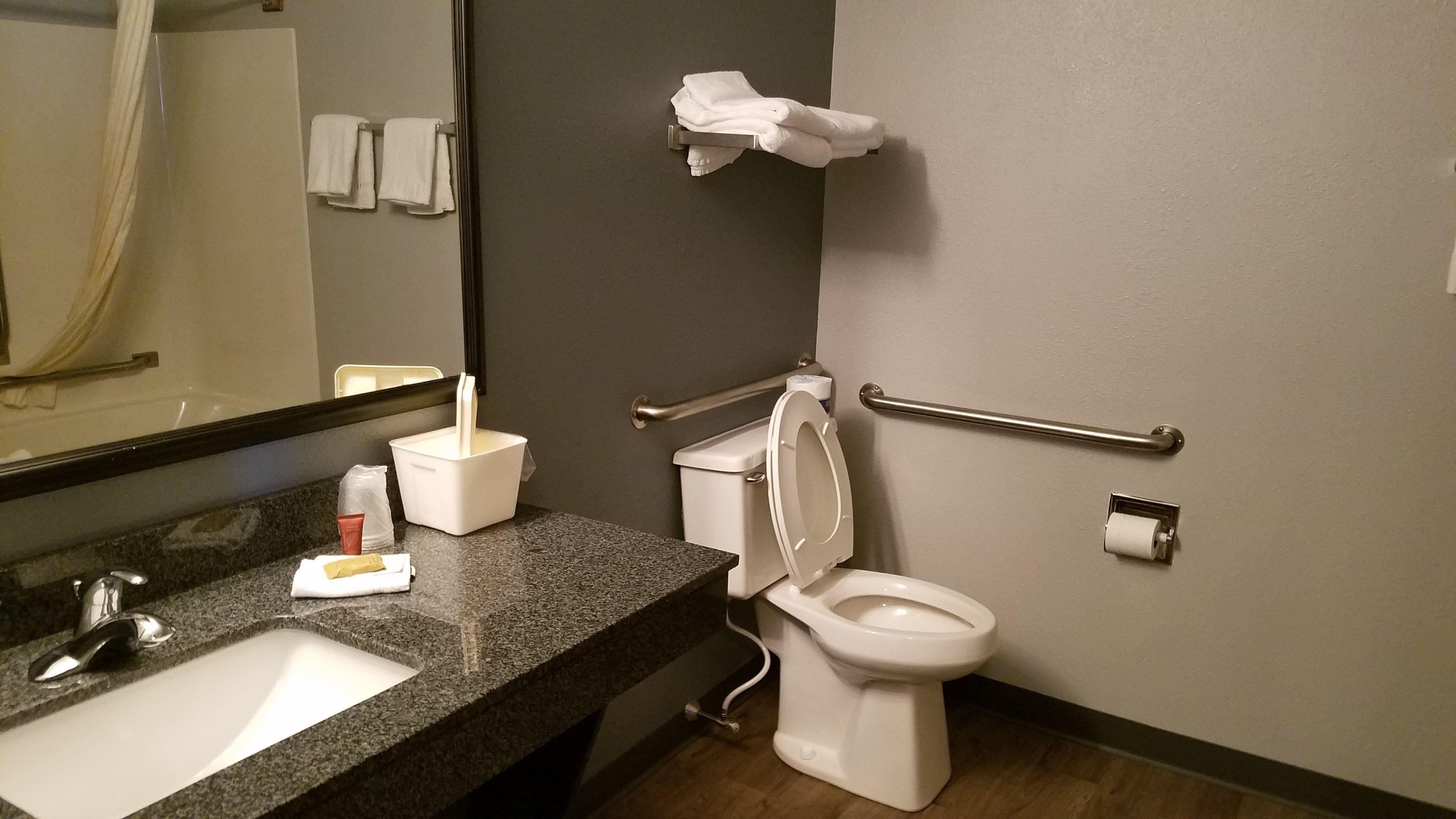 A bathroom with a sink, mirror, toilet, and handrails.