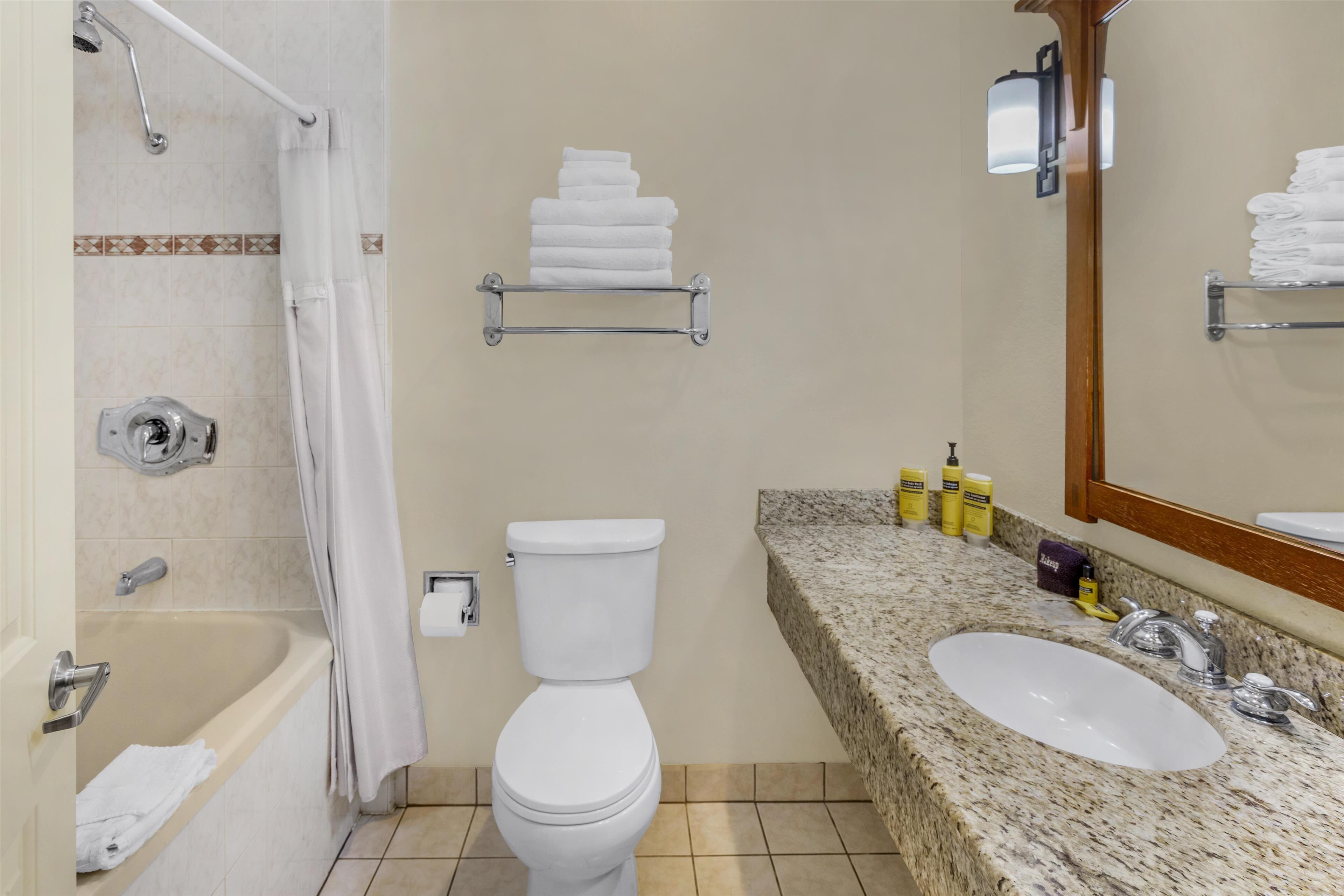 suite, 1 king bed with sofa bed, non smoking, jetted tub (with sofabed) | bathroom | eco-friendly toiletries, hair dryer, towels, soap