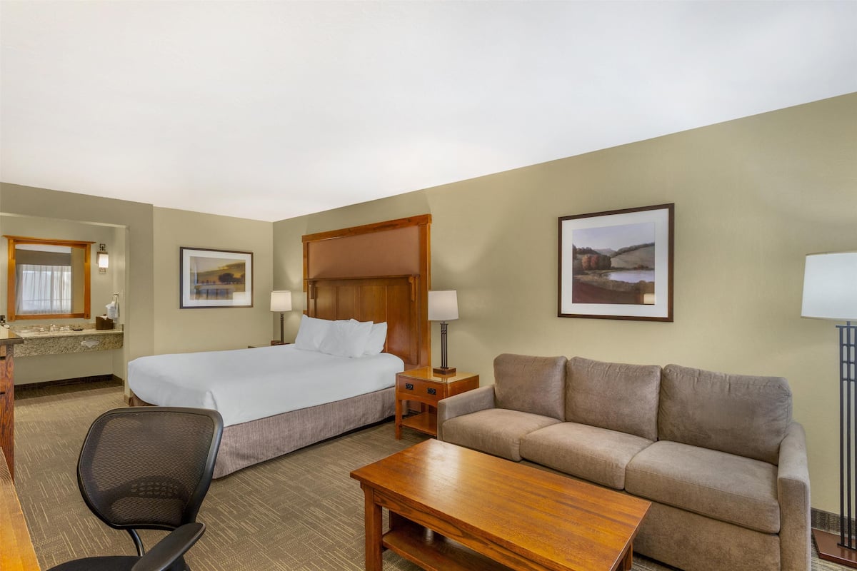 A hotel room with a bed, a sofa, a desk, and a chair.