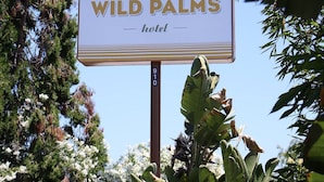 A sign for the Wild Palms Hotel with a clear view of the surrounding foliage.
