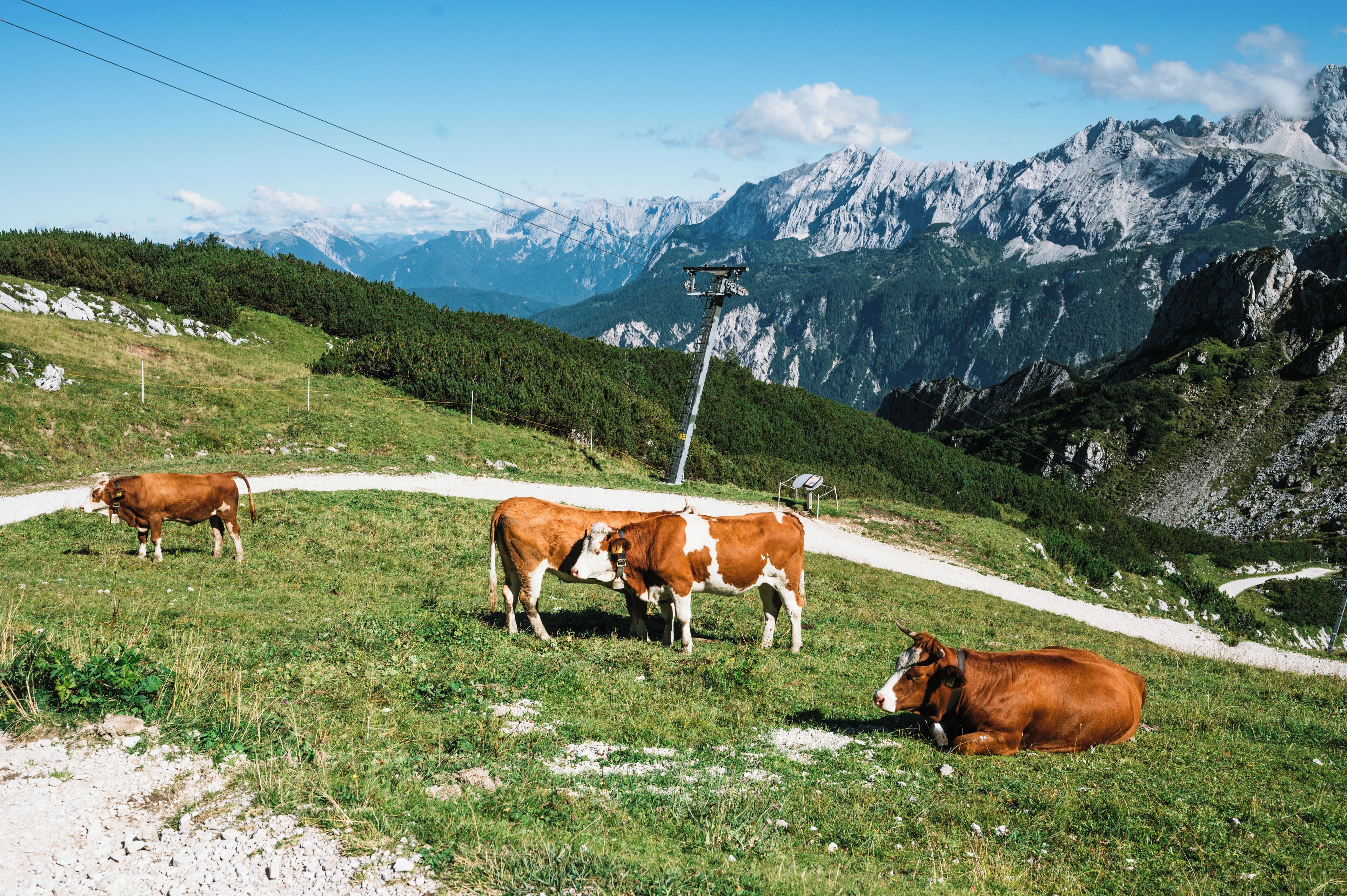 land view from property