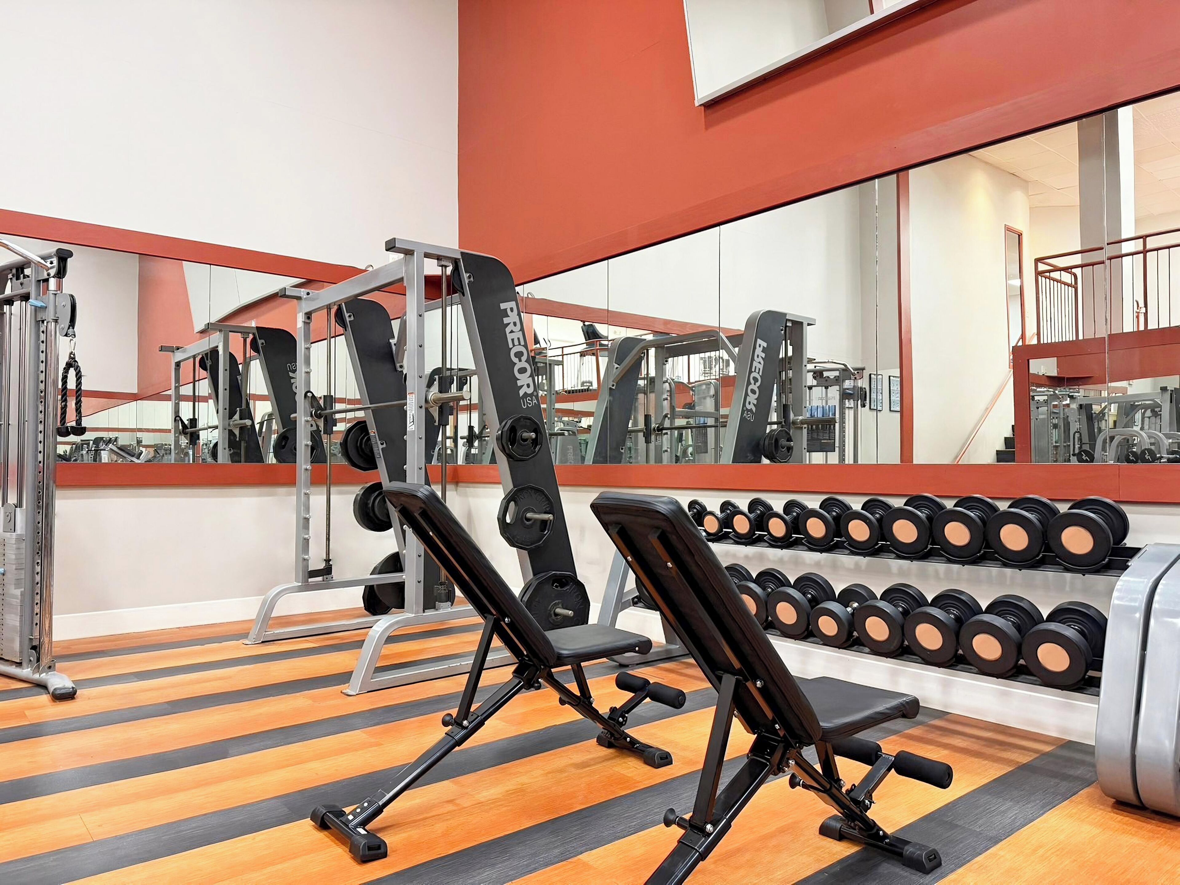 A gym with weightlifting equipment, a bench, and a rack of dumbbells.