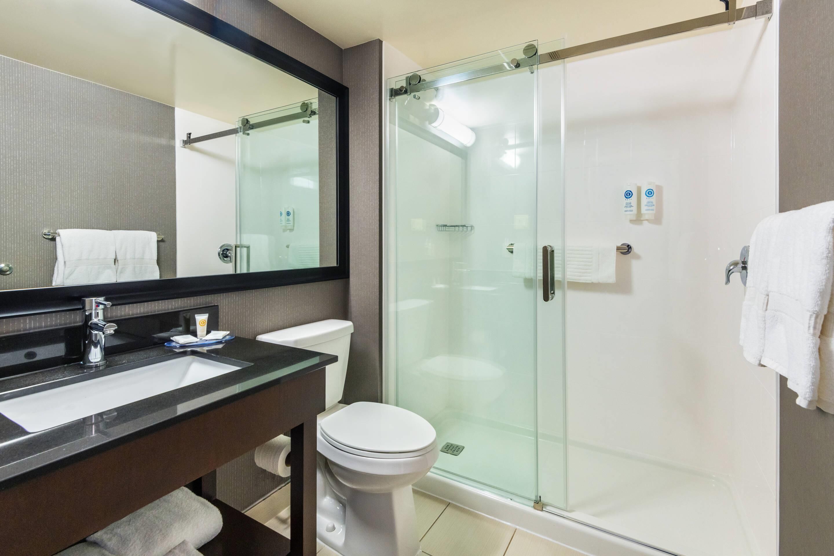 A modern bathroom with a glass-enclosed shower, a sink with a mirror, and a toilet.