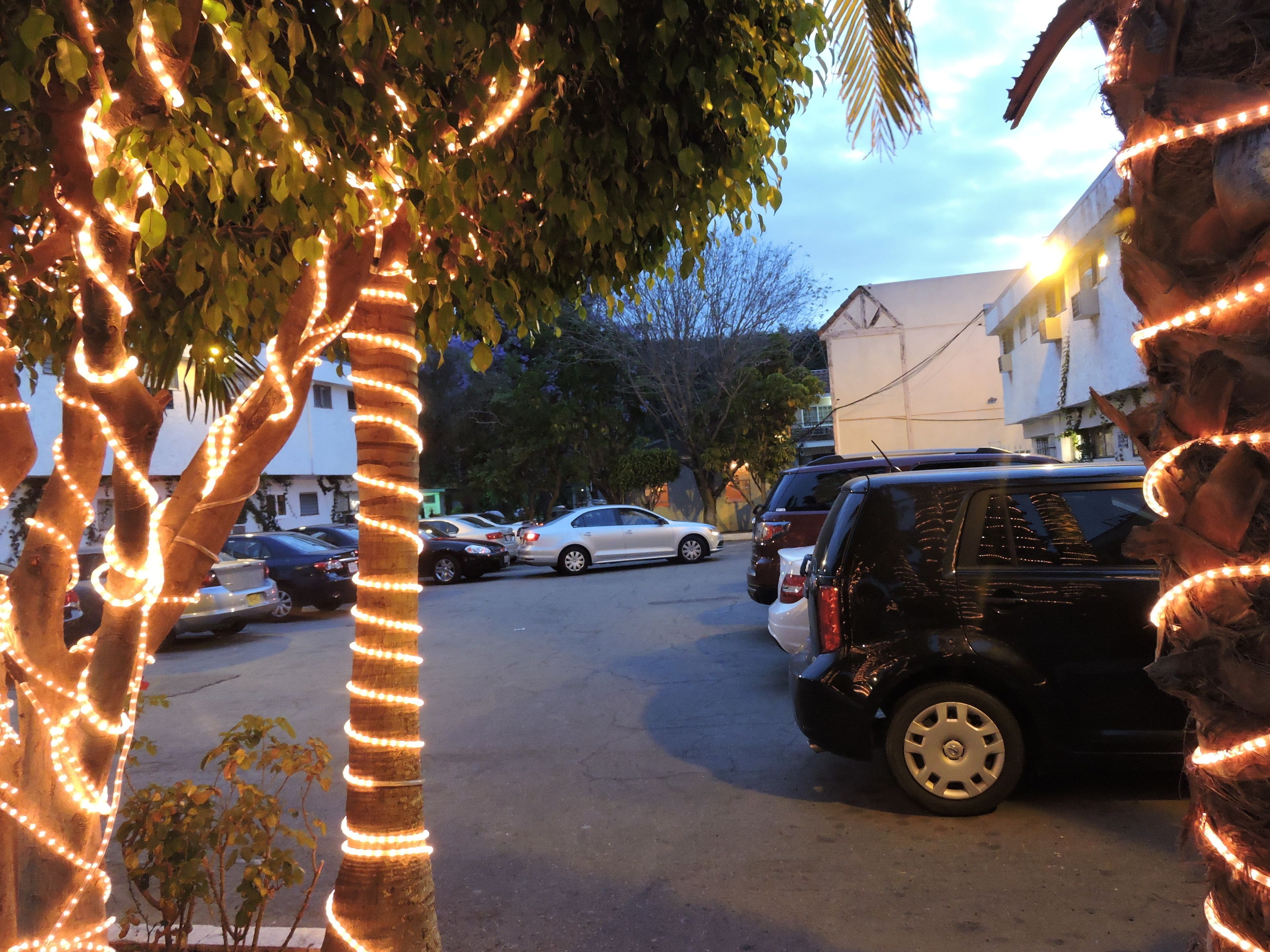 A parking area with trees wrapped in lights, parked cars, and buildings in the background.